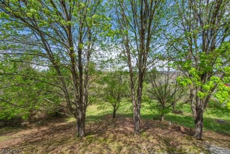 211 Clove Road Montague NJ 07827