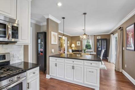 395 Meadowbrook Lane South Orange Village NJ 07079