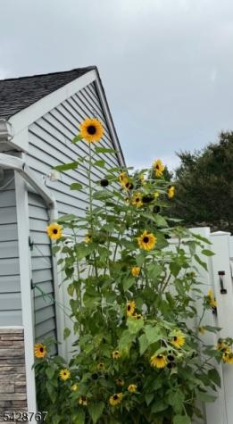 55 Alexandria Drive Manalapan NJ 07726