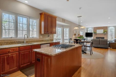 1 Bell Court Chester NJ 07930