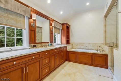 4 Barberry Row Chester NJ 07930