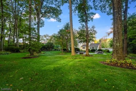 4 Barberry Row Chester NJ 07930