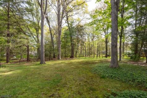22 Harriet Drive Hanover NJ 07981