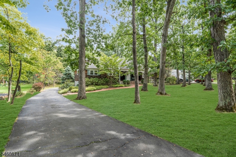 961 Sunset Ridge Bridgewater NJ 08807