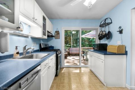 46 Deer Path Drive Mount Olive NJ 07836