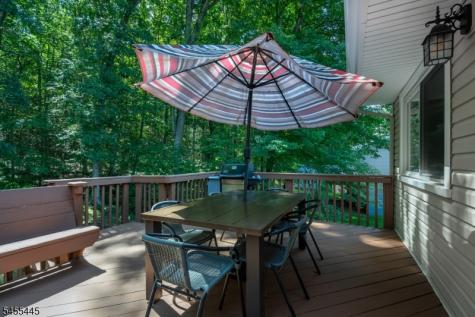 46 Deer Path Drive Mount Olive NJ 07836