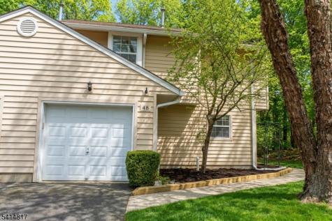 48 Rhea Run Hampton NJ 07860