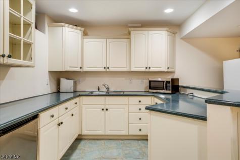 17 Spencer Drive Morris NJ 07960
