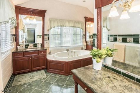 12 Red Oak Row Chester NJ 07930