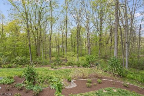 12 Red Oak Row Chester NJ 07930