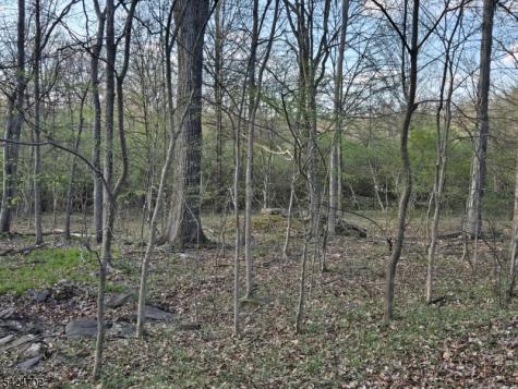 12 Locktown School Road Delaware NJ 08822