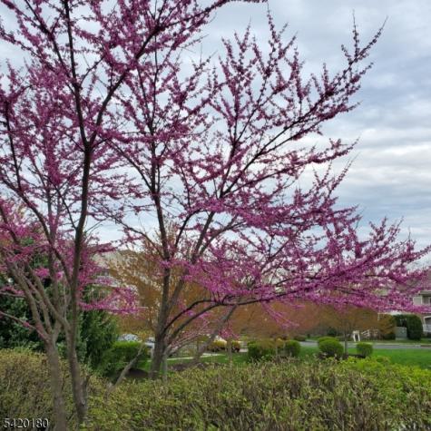 314 Biltmore Lane Franklin NJ 08873