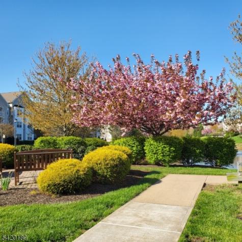 314 Biltmore Lane Franklin NJ 08873