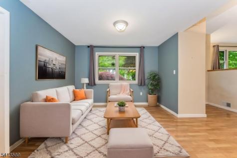 19 Hillside Drive Clinton NJ 08809