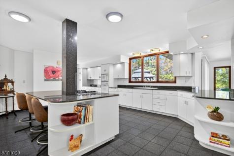 16 Benedek Lawrence NJ 08540