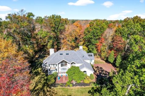 16 Benedek Lawrence NJ 08540
