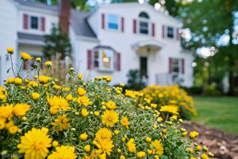 36 Rockwood Road Florham Park NJ 07932