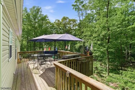 11 Fox Run Montague NJ 07827