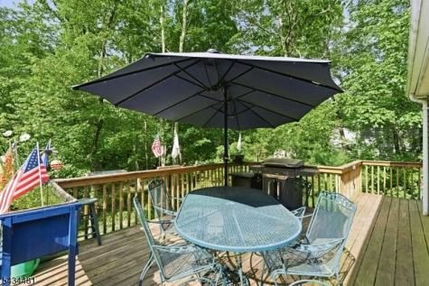 11 Fox Run Montague NJ 07827