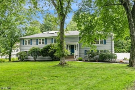 67 Kinnan Way Bernards NJ 07920
