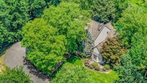 9 Beacon Hill Drive Chester NJ 07930