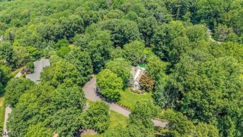 9 Beacon Hill Drive Chester NJ 07930