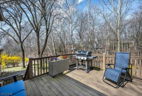 9 Oxford Drive Livingston NJ 07039