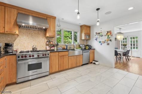 4 Barberry Way Essex Fells NJ 07021