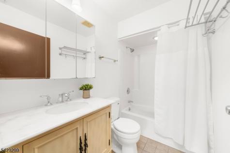 48 Van Lieus Road East Amwell NJ 08551
