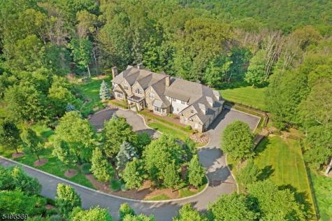 4 Rainetree Ridge Mendham NJ 07931