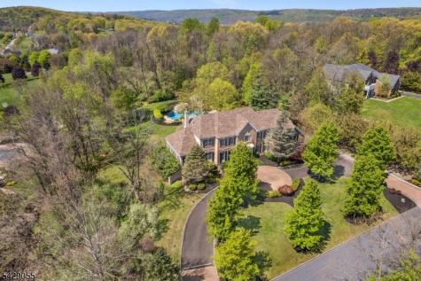 17 Carlisle Court Chester NJ 07930