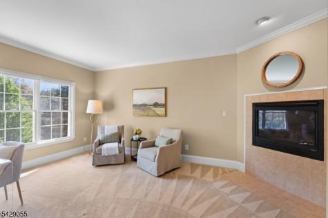 17 Carlisle Court Chester NJ 07930