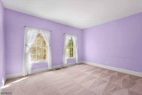 17 Carlisle Court Chester NJ 07930