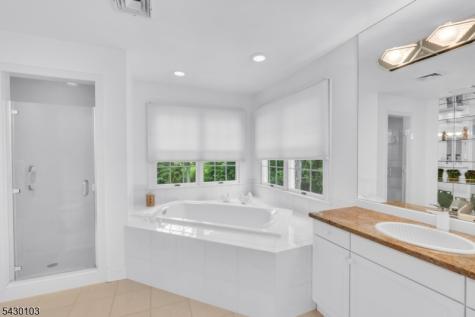 3 Bayview Terrace Green Brook NJ 08812