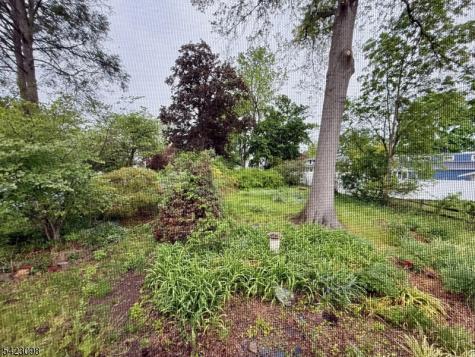 52 Burch Drive Morris Plains NJ 07950