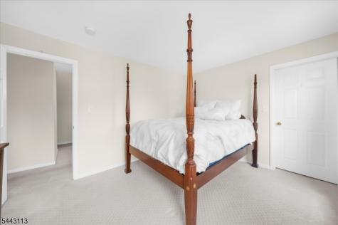 54 Rick Road Alexandria NJ 08848