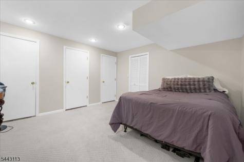 54 Rick Road Alexandria NJ 08848