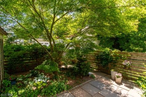 55 Elm Street Lambertville NJ 08530