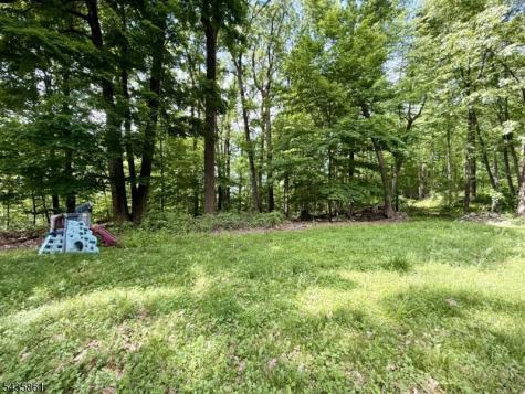 88 Quenby Mountain Road Liberty NJ 07838