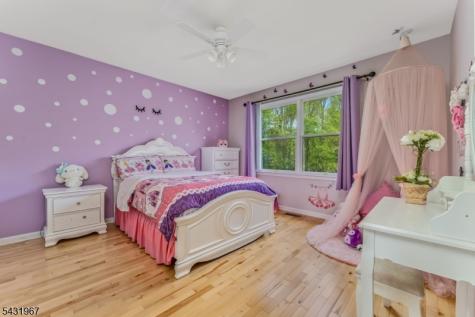 26 Alpaugh Drive Bethlehem NJ 08802
