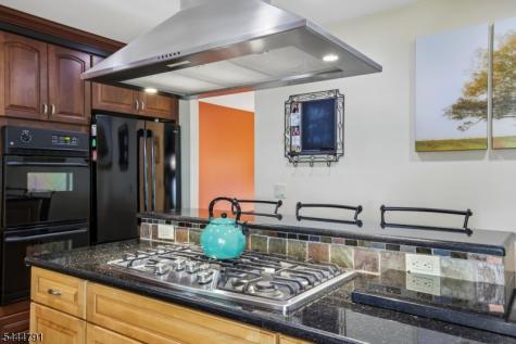 43 Misty Mountain Road Randolph NJ 07869