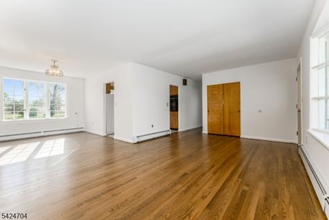 123 Lilac Drive Clinton NJ 08801