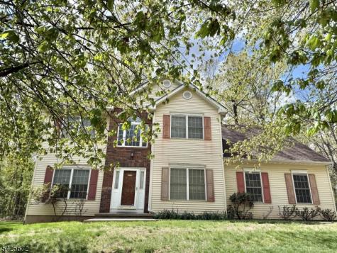 4 Scaletti Court Franklin NJ 08873