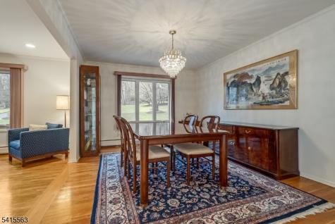 11 Wood Drive Parsippany-troy Hills NJ 07950