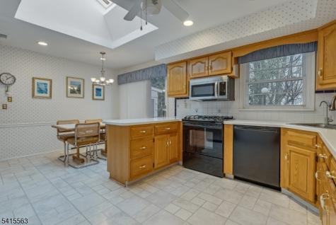 11 Wood Drive Parsippany-troy Hills NJ 07950
