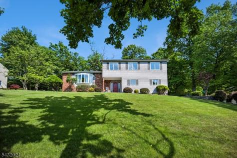 17 Stonewall Drive Livingston NJ 07039