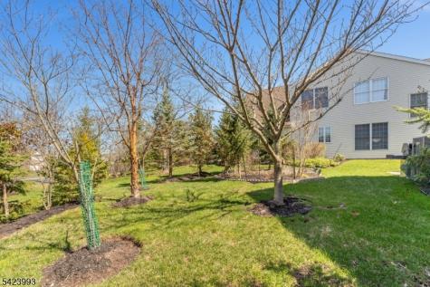 4 Nortwick Court Franklin NJ 08873