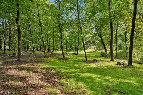 1 Woodside Drive Montville NJ 07005