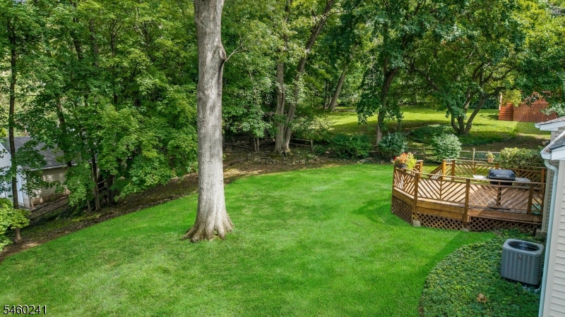 7 Sharon Road Springfield NJ 07081