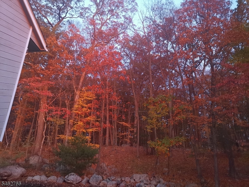 40 Old Boonton Road Denville NJ 07834